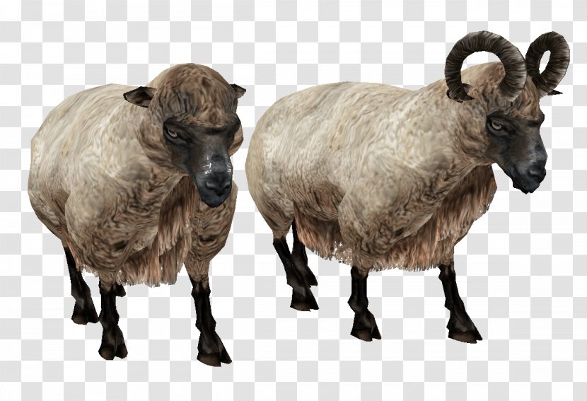 Welsh Mountain Sheep Icon - Goat Antelope - Image Transparent PNG
