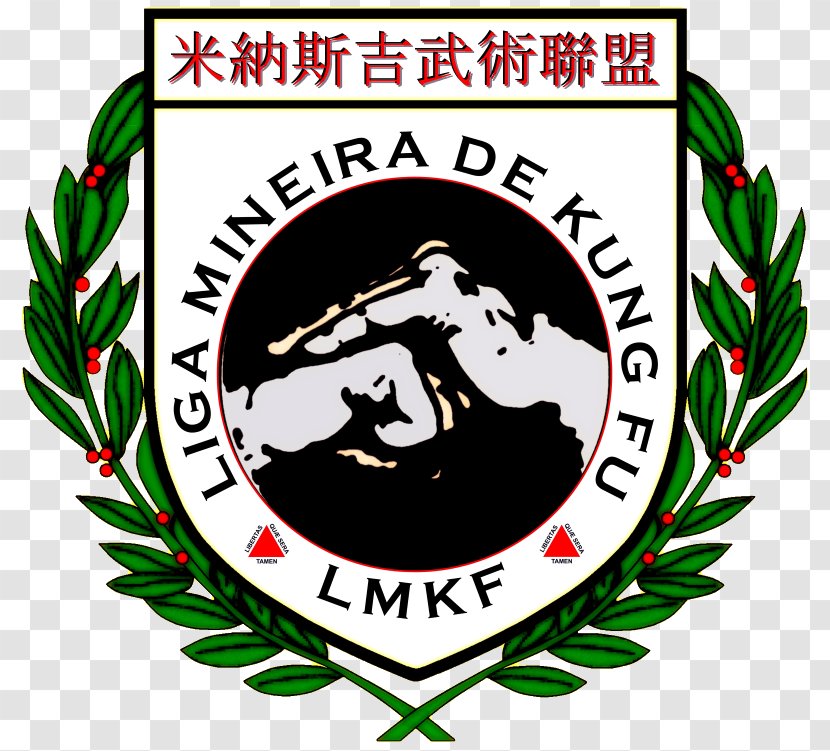 Liga Nacional De Kung Fu Chinese Martial Arts Tai Lung Paulista - Plant - Kungfu Transparent PNG
