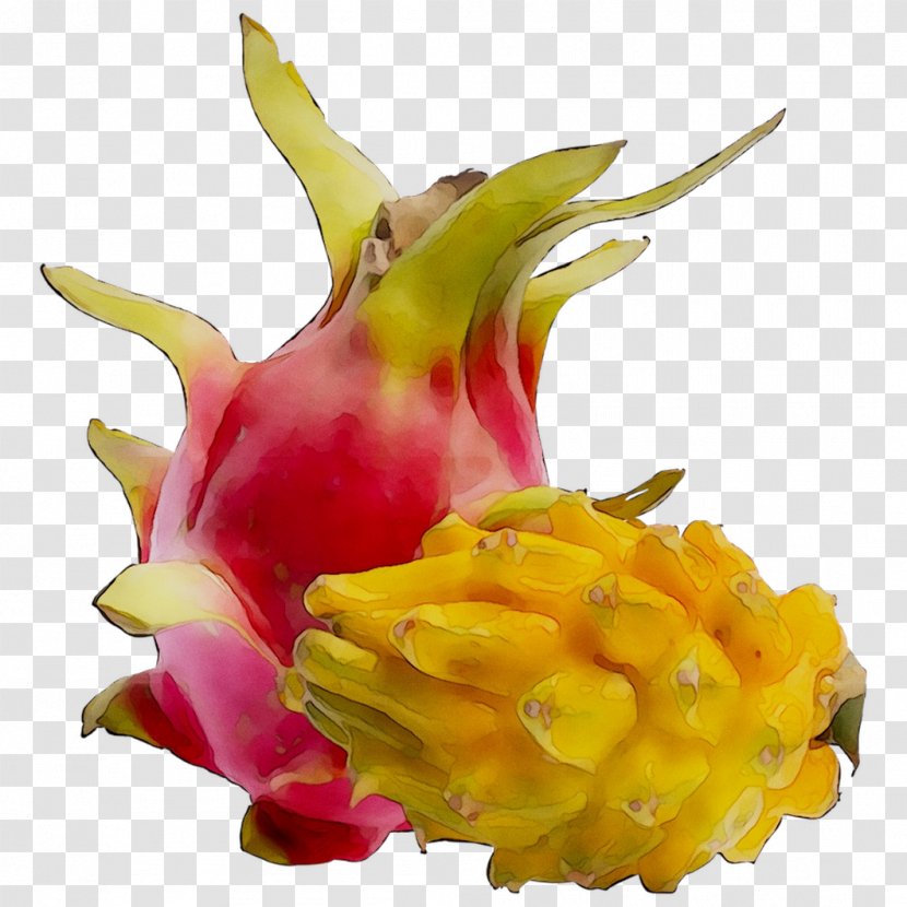 Passion Fruit Vegetable Los Angeles - Plant - Aubergines Transparent PNG