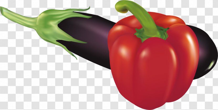 Habanero Serrano Pepper Cayenne Bell Paprika - Nightshade Family - Eggplant Material Transparent PNG