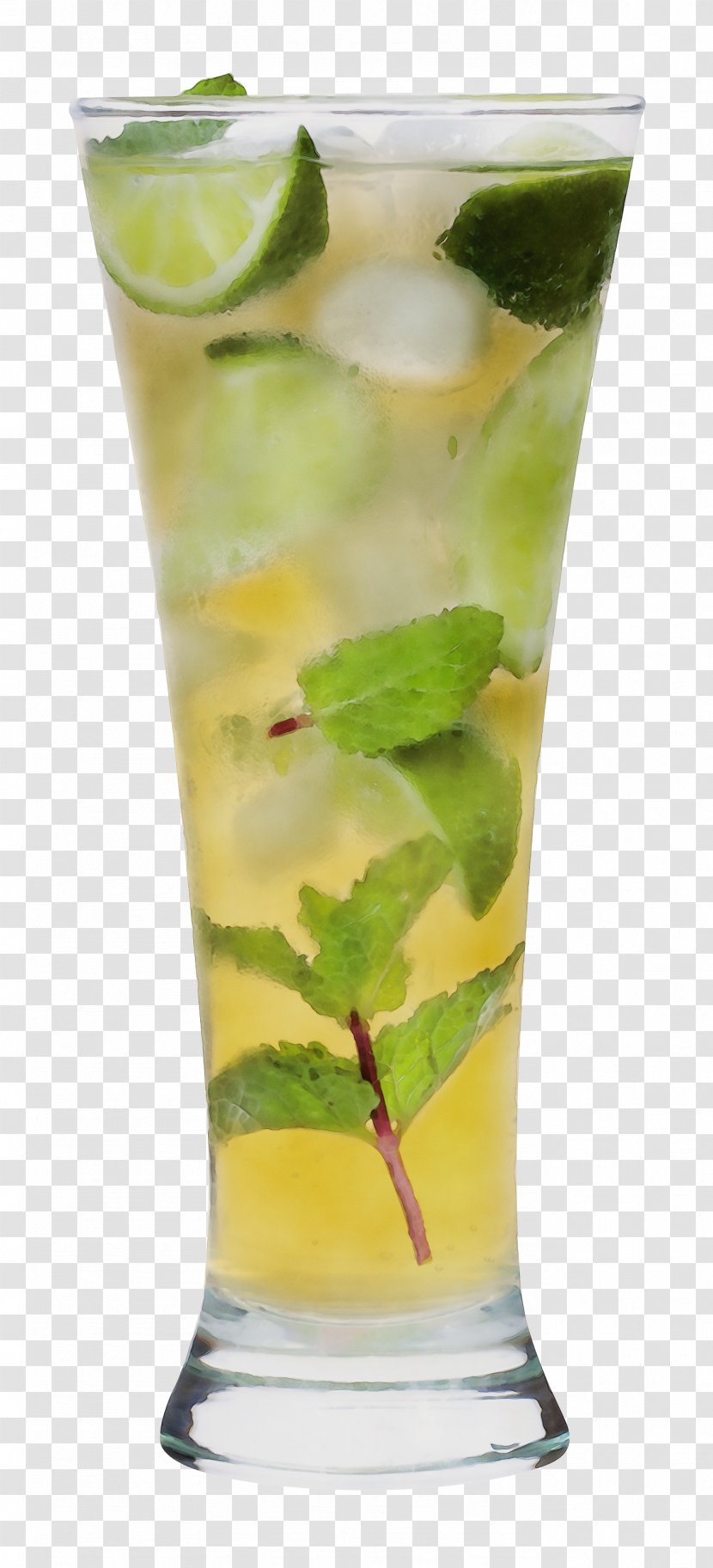 Lemonade - Martini - Highball Plant Stem Transparent PNG