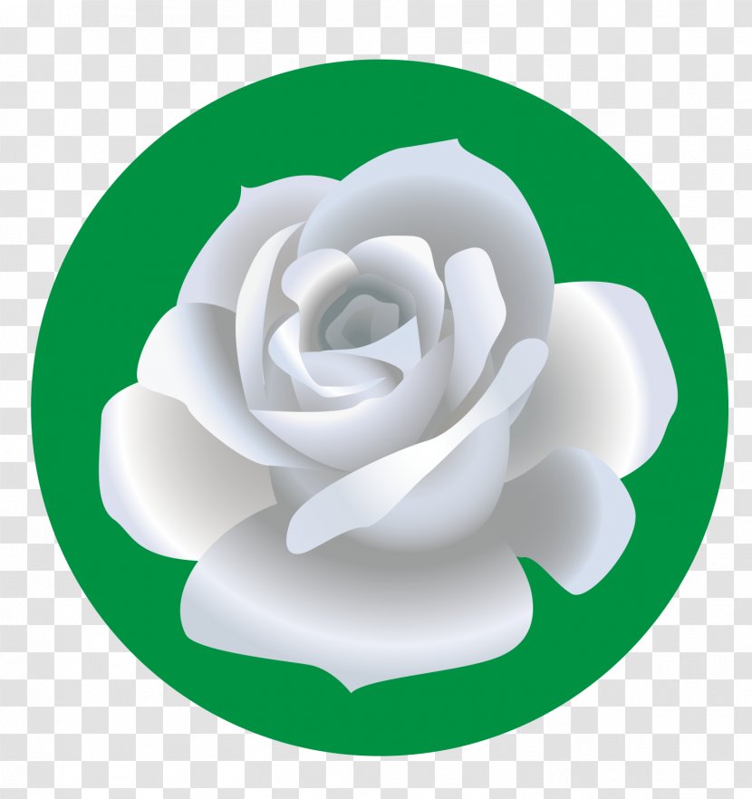 Garden Roses Beach Rose Drawing Flower - White Transparent PNG