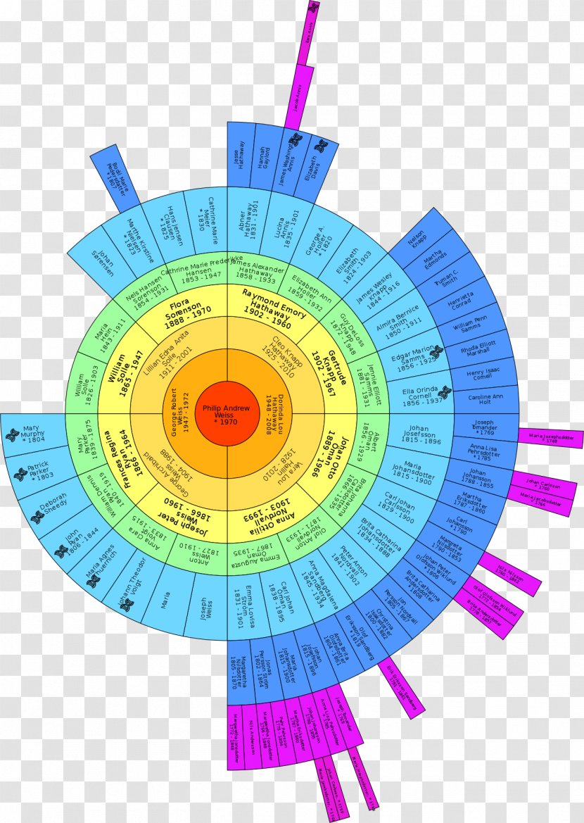 Genealogy Ancestor DNA Family Chart Transparent PNG