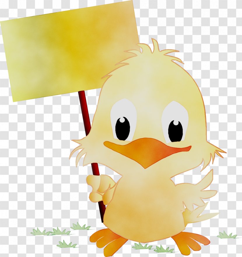 Duck Beak Cartoon Chicken - Bird Transparent PNG