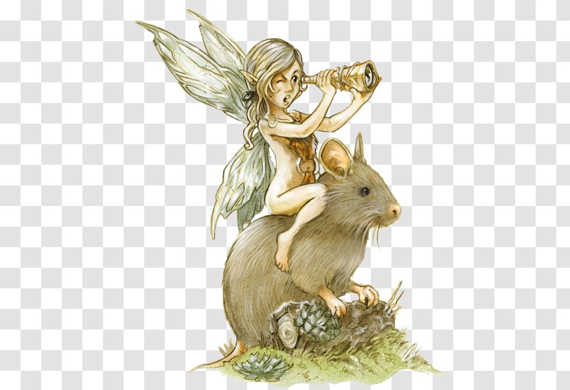 Fairy Illustrator Drawing Painter Illustration - David Revoy - Ride Rabbit Wizard Transparent PNG