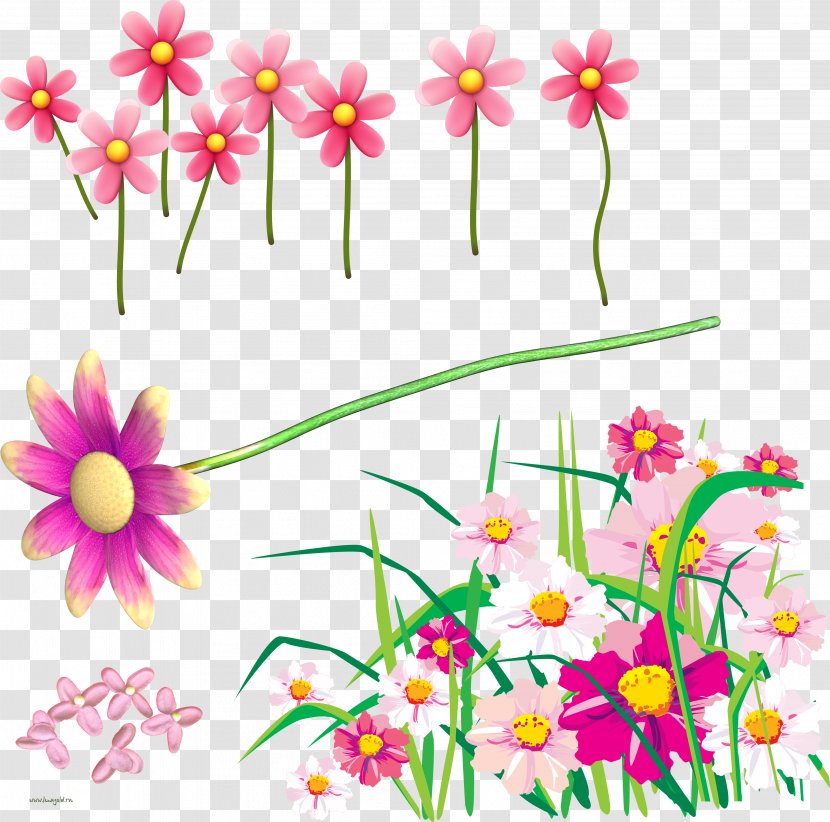 Floral Design Cut Flowers Clip Art - Wildflower - Flower Transparent PNG