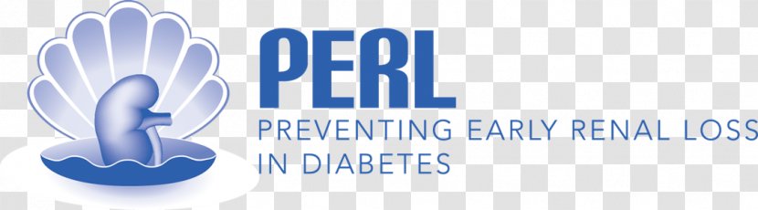 Logo Brand Paper Airplane - Text - Type 1 Diabetes Transparent PNG