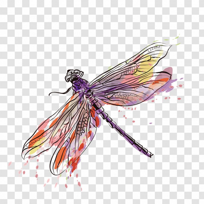 Insect Euclidean Vector Dragonfly - Membrane Winged - Ink Transparent PNG