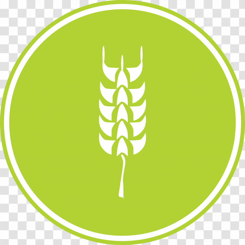 Oats Wheat Oats Logo Transparent PNG