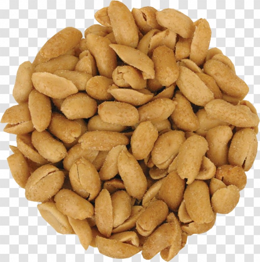 Peanut Image Vegetarian Cuisine - Gratis - Peanuts Transparent PNG