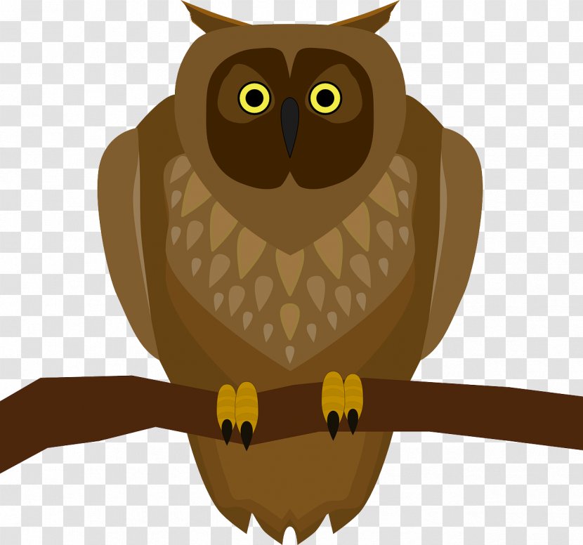 Owl Bird Clip Art - Of Prey - Owls Transparent PNG