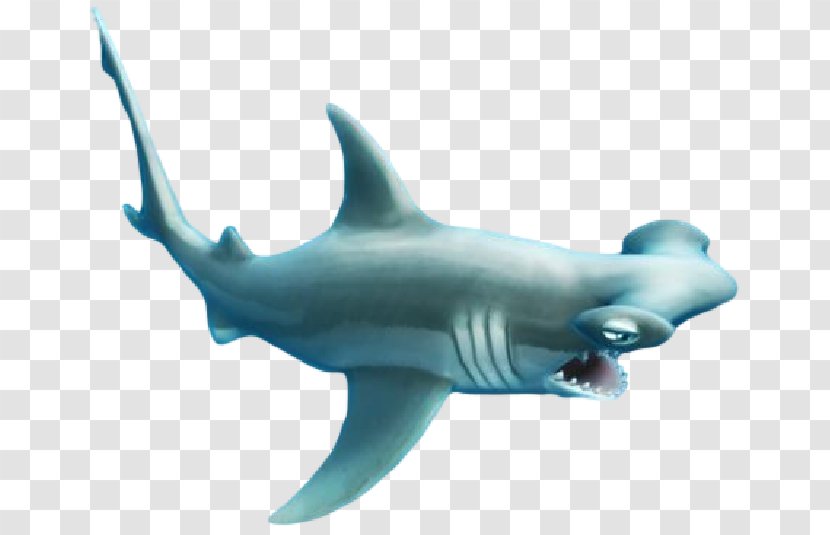 Hungry Shark Evolution Isurus Oxyrinchus Hammerhead Great - Sharks Transparent PNG