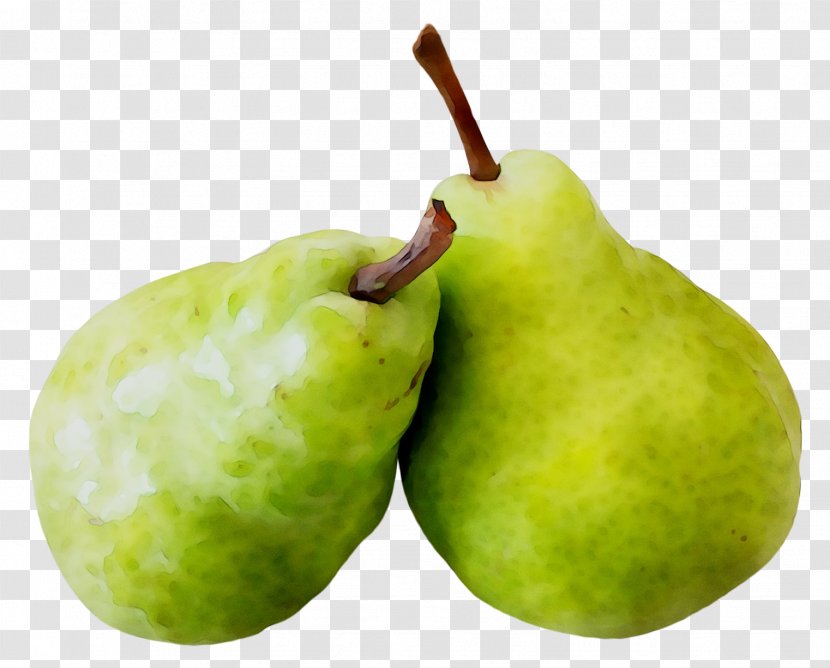 Pear Apple Fahrenheit - Tree - Fruit Transparent PNG