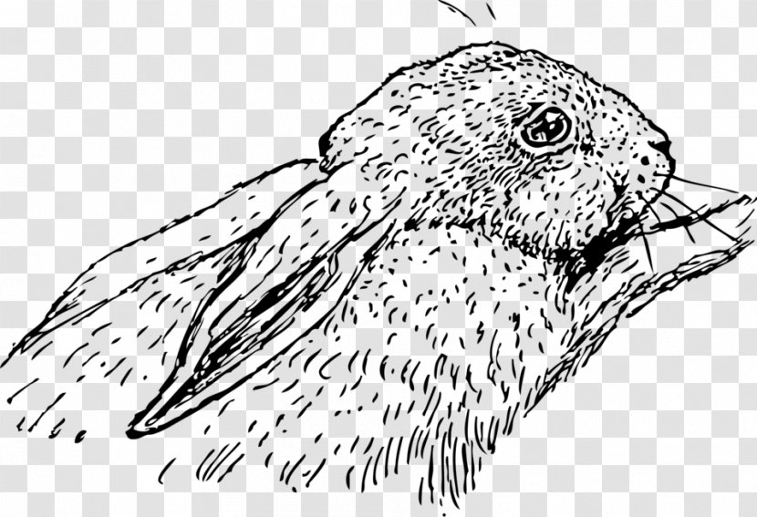 Rabbit Drawing Line Art Clip - Wing Transparent PNG