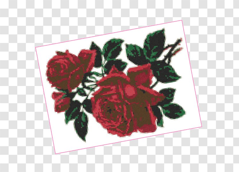 Garden Roses Flower Rosaceae Floral Design - Stitch Transparent PNG