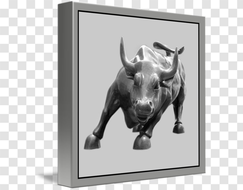 Bull Cattle Picture Frames Snout - Cow Goat Family Transparent PNG