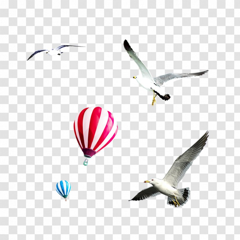 Flight Bird Airplane Sky Balloon - Aviation - Eagle Material Transparent PNG
