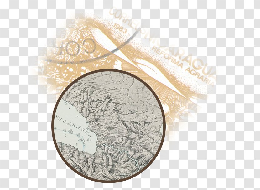 Currency - Specialty Coffee Transparent PNG