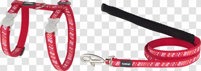 Leash AKS Solutions AB Dingo Dog Collar - Red - Pizzazz Transparent PNG