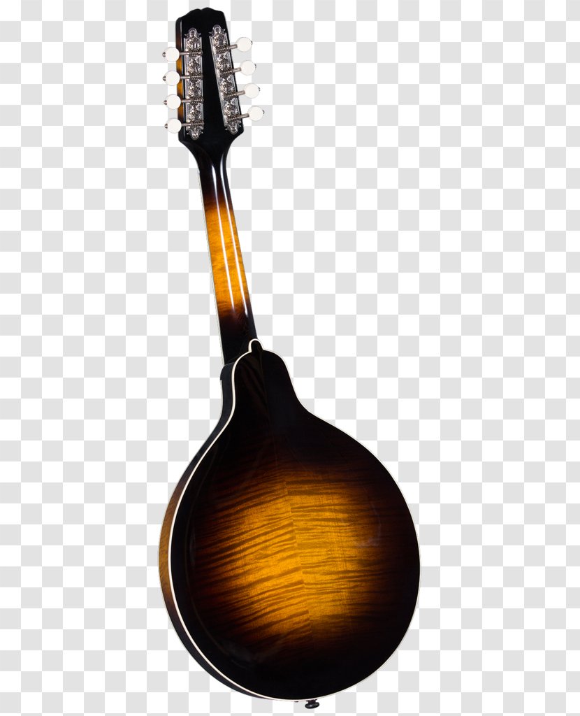 Electric Mandolin Musician Musical Instruments Amazon.com - Frame Transparent PNG