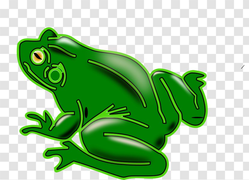 True Frog Tree Toad Common - Tadpole Transparent PNG