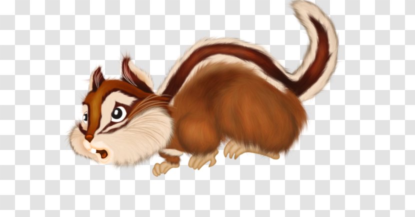 Squirrel Chipmunk Whiskers - Rodent - A Transparent PNG