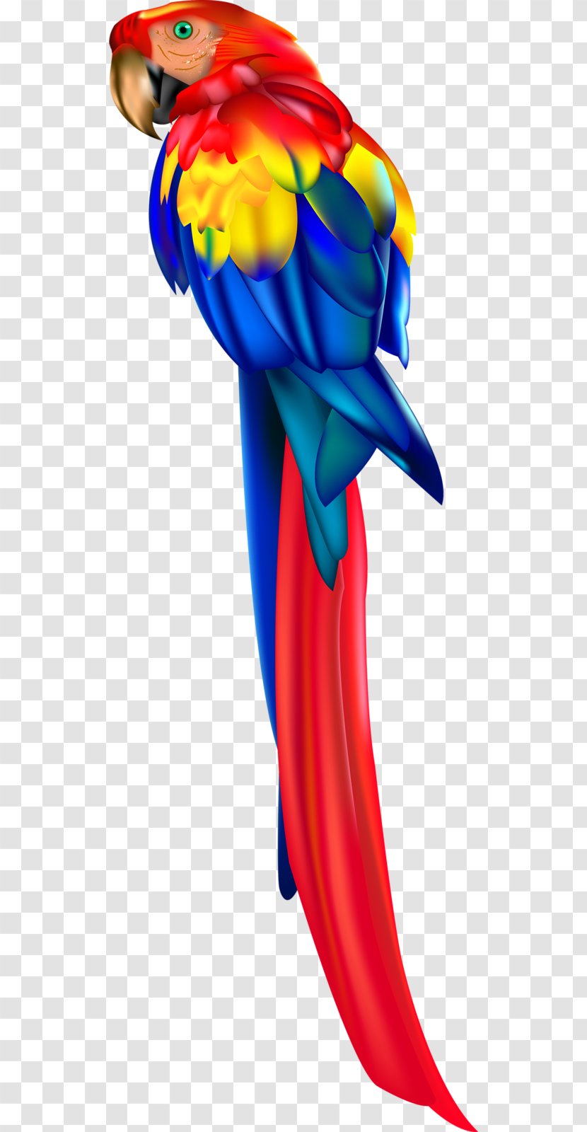 Parrot Macaw Clip Art - Fictional Character Transparent PNG