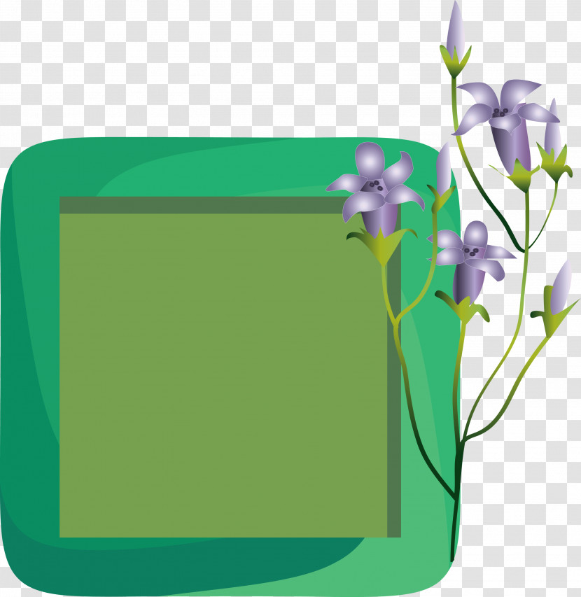 Flower Photo Frame Flower Frame Photo Frame Transparent PNG