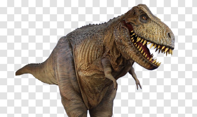 Tyrannosaurus Spinosaurus - V Rex - T-rex Transparent PNG