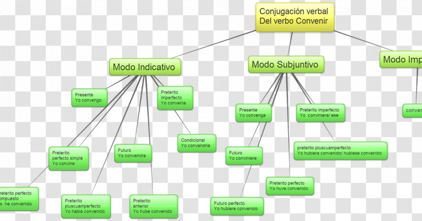 Past Tense Verb Imperfect Pluperfect Grammatical Conjugation - Organization - Conect Transparent PNG