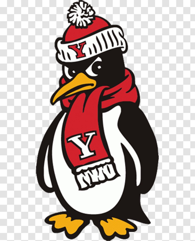 Youngstown State University Penguins Football Men's Basketball Stambaugh Stadium Division I (NCAA) - Mascot Transparent PNG