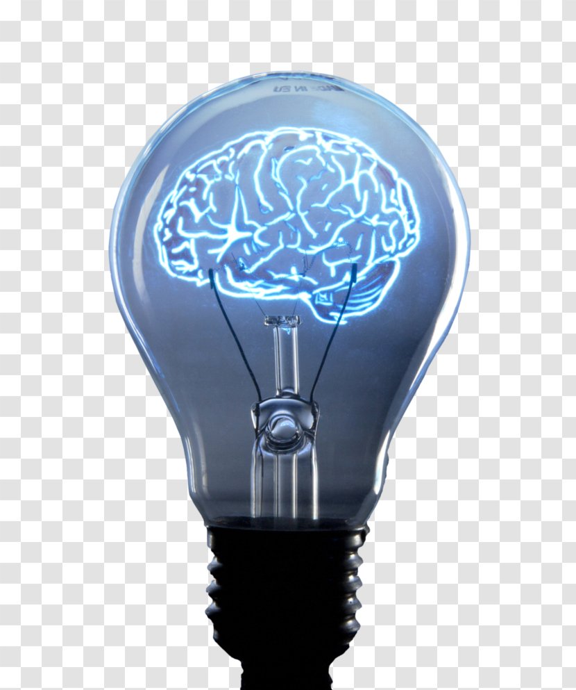 Art Incandescent Light Bulb Drawing Stock Photography - Heart - Brain Lamp Transparent PNG