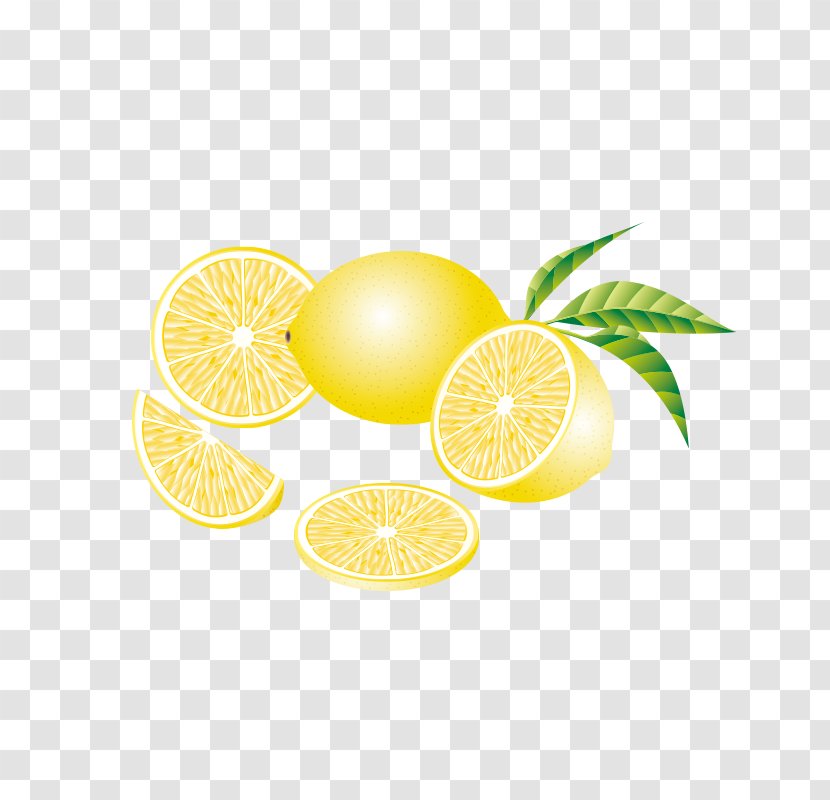 Lemon Pomelo Grapefruit - Hand-painted Transparent PNG