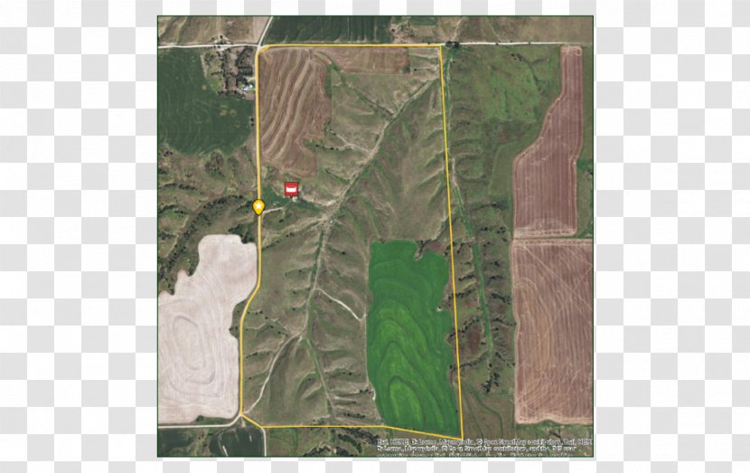 Land Lot Real Property Text Messaging - Landed Estate Transparent PNG