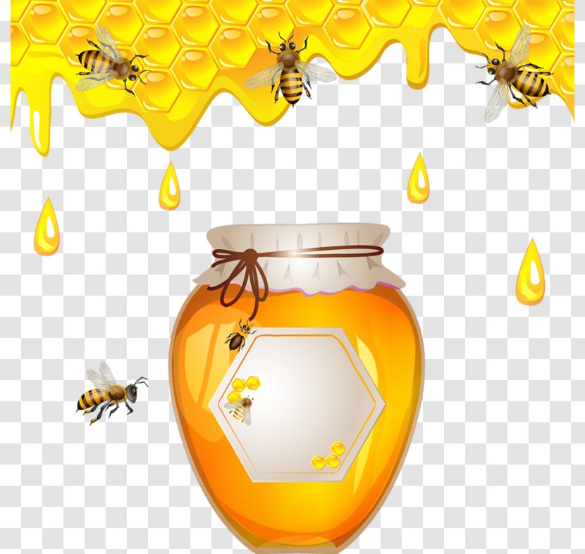 Honey Bee Honeycomb - Pollen - Pattern Transparent PNG