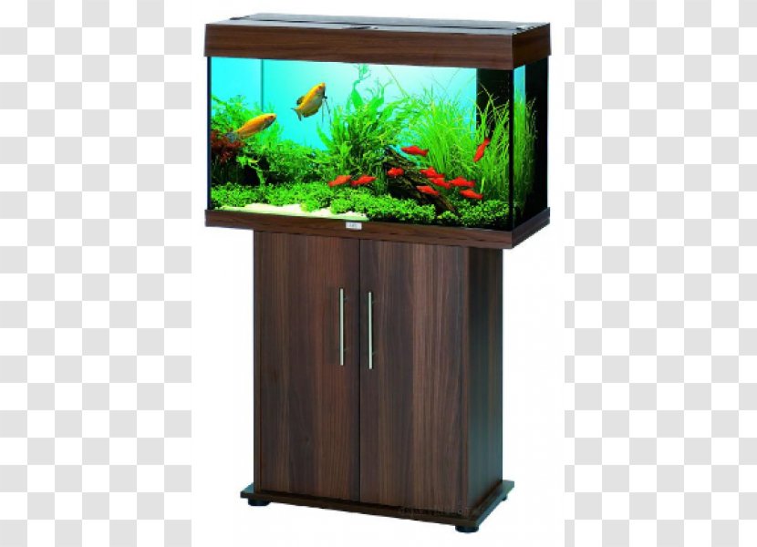 Aquariums Fishkeeping Ornamental Fish Transparent PNG