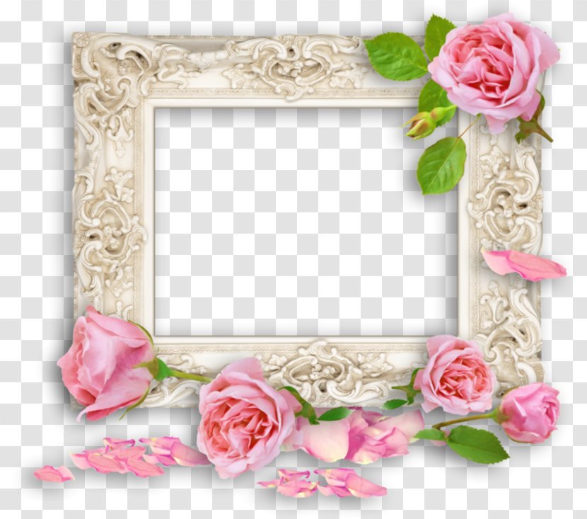 Borders And Frames Picture Image Clip Art Rose - Garden Roses Transparent PNG
