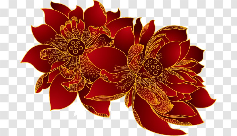Flower Nelumbo Nucifera - Chrysanths - Red Transparent PNG