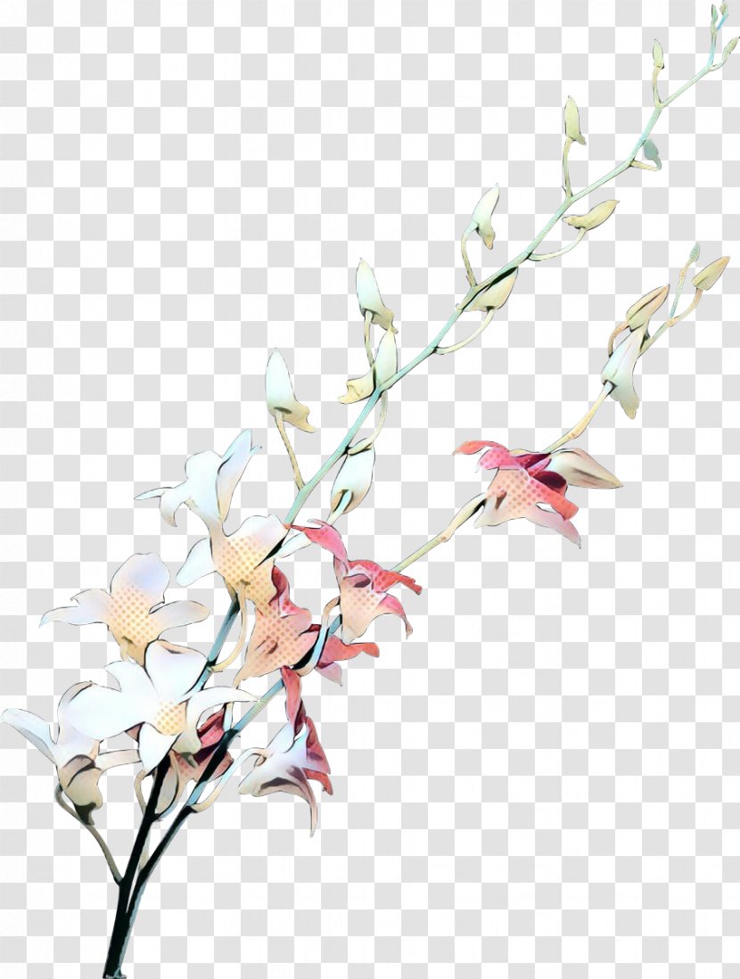 Cherry Blossom Cartoon - Magnolia - Gladiolus Dendrobium Transparent PNG