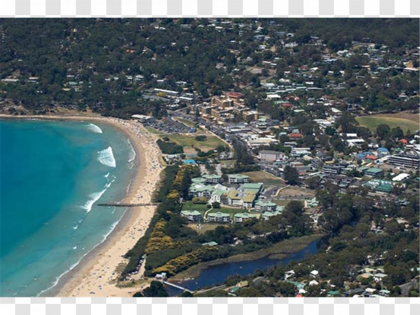 Great Otway National Park Ocean Road Erskine River Mantra Lorne Melbourne - Tourism - Beach Resort Transparent PNG