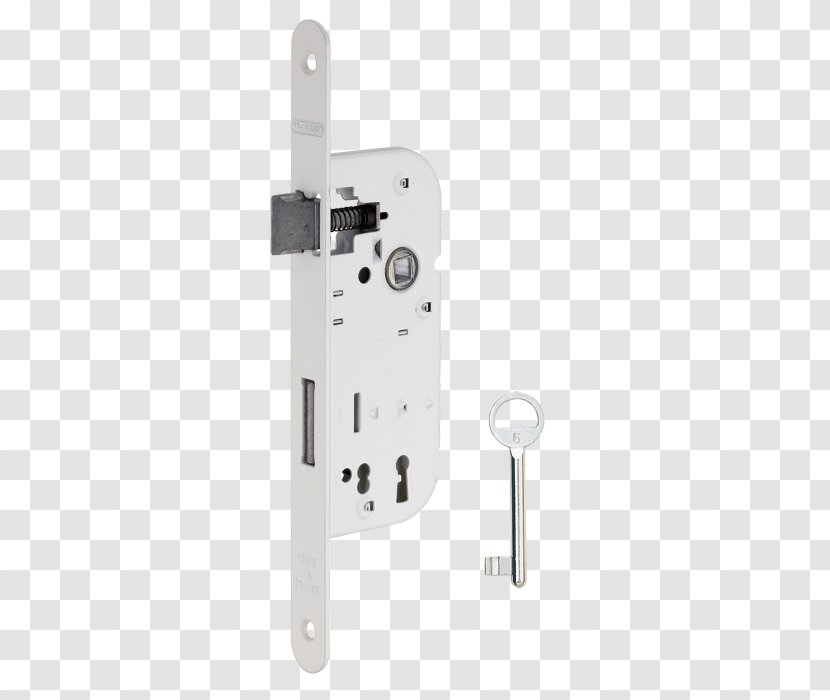 Padlock Key Pêne Steel - Tree Transparent PNG