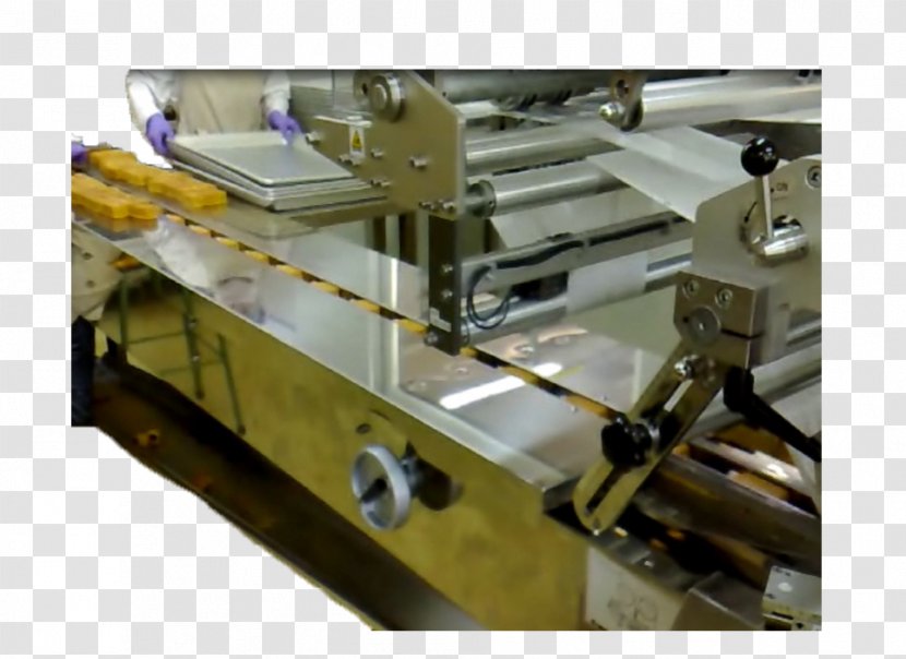 Machine Tool Conveyor System Belt Pallet - Packaging And Labeling - Yu Yuan Transparent PNG