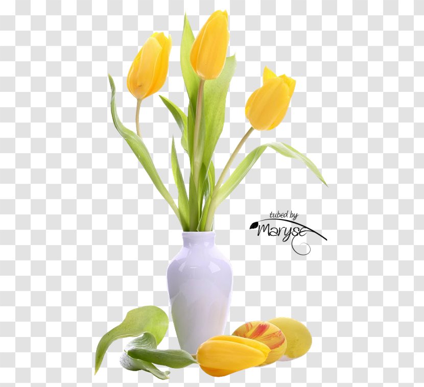 Tulip Flower Bouquet Yellow Desktop Wallpaper - Petal Transparent PNG