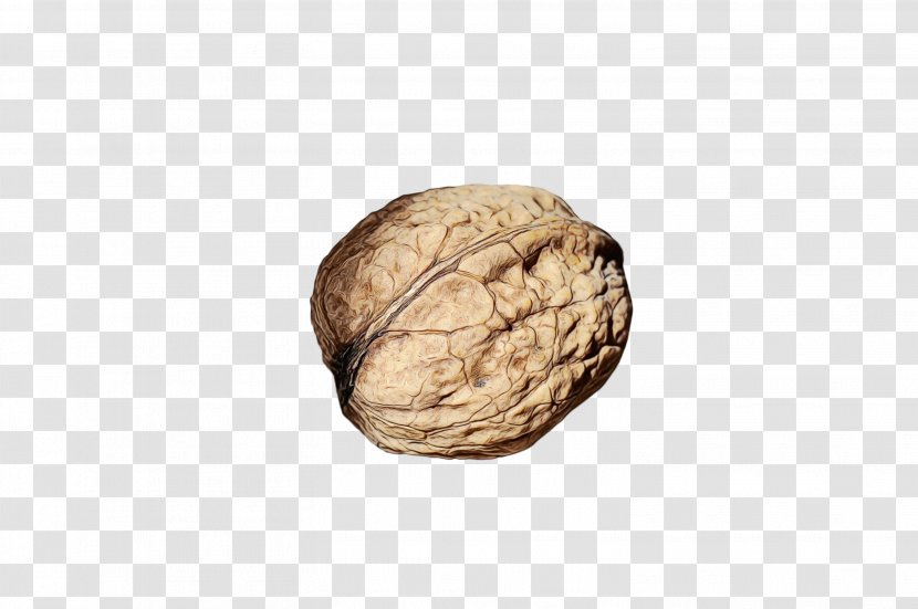 Walnut Nut Food Nuts & Seeds Beige - Rock - Plant Transparent PNG