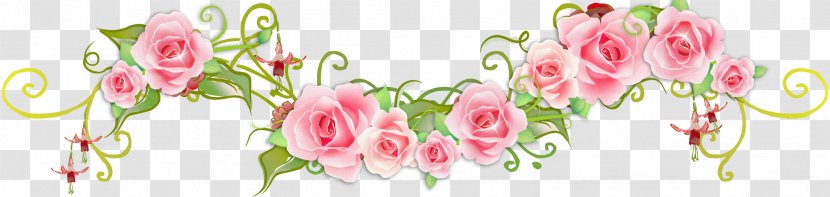Vintage Roses: Beautiful Varieties For Home And Garden Flower Clip Art - Photography - Rose Transparent PNG