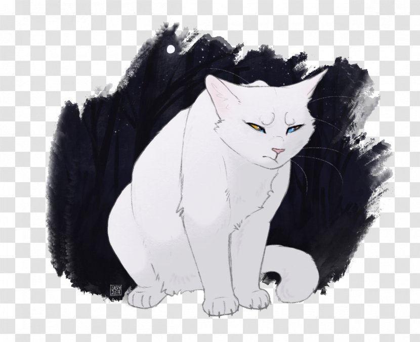 Cat Drawing - Norwegian Forest - American Bobtail Cymric Transparent PNG