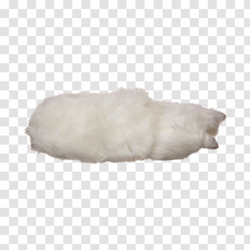 Snout Fur - Sea，slipper Transparent PNG