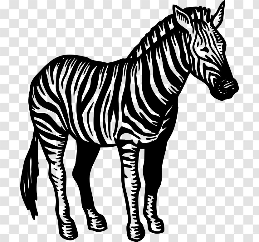 Quagga Zebra Horse Clip Art - Pack Animal Transparent PNG