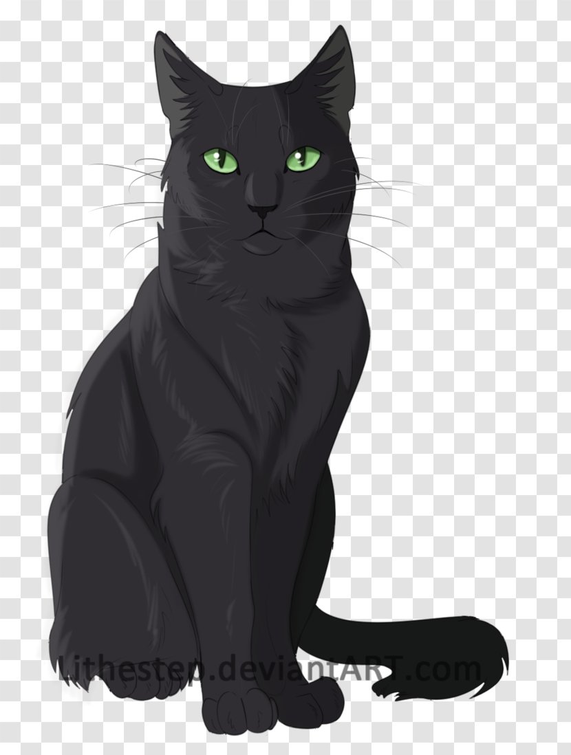 Cat Warriors Kitten Shadowstar Erin Hunter - Crowfrost - Shadow Warrior Transparent PNG