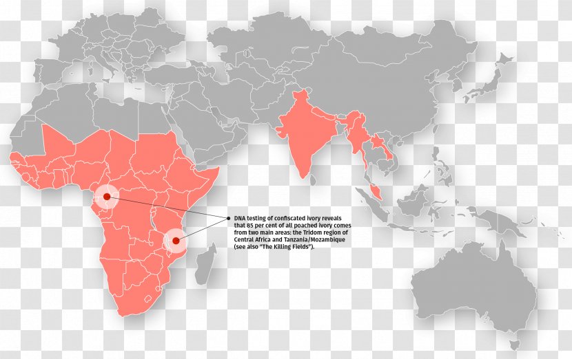 World Map D3.js Globe - Blank Transparent PNG